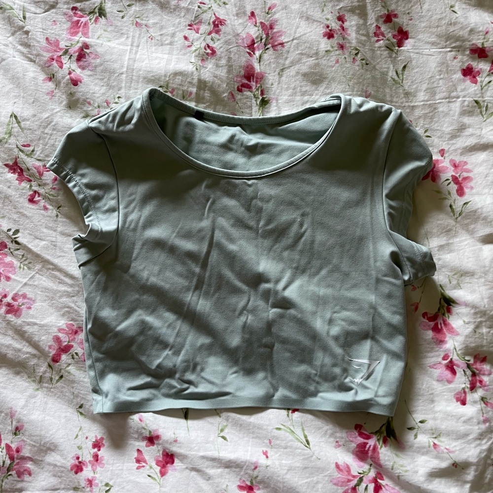 Mint Crop Top